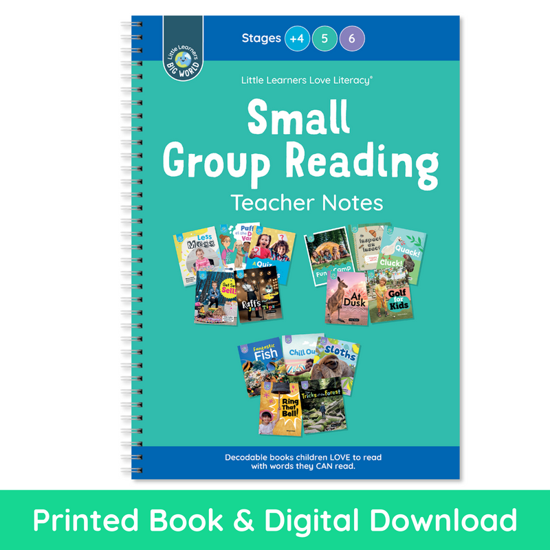 Big World Nonfiction Small Group Reading Teacher Notes Stages Plus 4, 5, 6